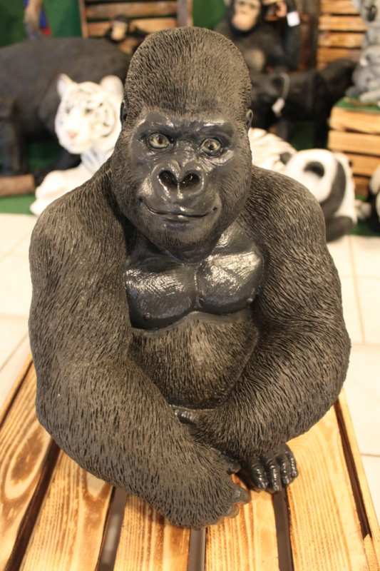 Gorilla, sitzend